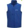 color:oxford blue